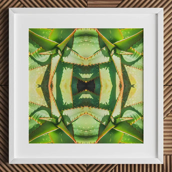 Starry-eyed - Trippy Succulent Op Art Print / Canvas Framed Abstract Botanical Symmetrical Mirrored Green Aloe, Enhanced Matte Fine, Prints