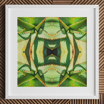 Starry-eyed - Trippy Succulent Op Art Print / Canvas Framed Abstract Botanical Print Symmetrical Mirrored Green Aloe Succulent Op Art,