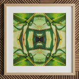 Starry-eyed - Trippy Succulent Op Art Print / Canvas, Succulent Op Art, Enhanced Matte Fine, Trippy Succulent