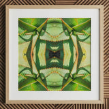Starry-eyed - Trippy Succulent Op Art Print / Canvas Framed Artwork Symmetrical Kaleidoscopic Pattern Green Succulent Leaves Op Art,