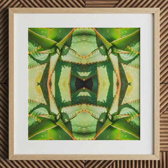 Starry-eyed - Trippy Succulent Op Art Print / Canvas Framed Artwork Symmetrical Kaleidoscopic Pattern Green Succulent Leaves Op Art,