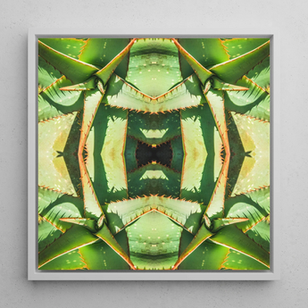 Starry-eyed - Trippy Succulent Op Art Print / Canvas, Succulent Op Art, Enhanced Matte Fine, Trippy Succulent