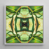 Starry-eyed - Trippy Succulent Op Art Print / Canvas Framed Square Artwork Symmetrical Kaleidoscopic Pattern Green, Enhanced Matte Fine,