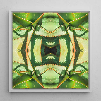 Starry-eyed - Trippy Succulent Op Art Print / Canvas Framed Square Artwork Symmetrical Kaleidoscopic Pattern Green, Enhanced Matte Fine,