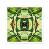 Starry-eyed - Trippy Succulent Op Art Print / Canvas, Succulent Op Art, Enhanced Matte Fine, Trippy Succulent
