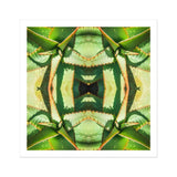 Starry-eyed - Trippy Succulent Op Art Print / Canvas Kaleidoscopic Pattern Created Mirrored Green Leaves, Enhanced Matte Fine, Prints