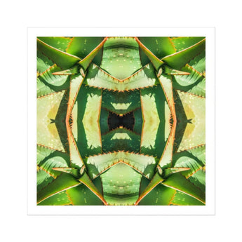 Starry-eyed - Trippy Succulent Op Art Print / Canvas Kaleidoscopic Pattern Created Mirrored Green Leaves, Enhanced Matte Fine, Prints