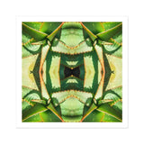 Starry-eyed - Trippy Succulent Op Art Print / Canvas Kaleidoscopic Pattern Created Mirrored Green Succulent Leaves Op Art, Enhanced Matte