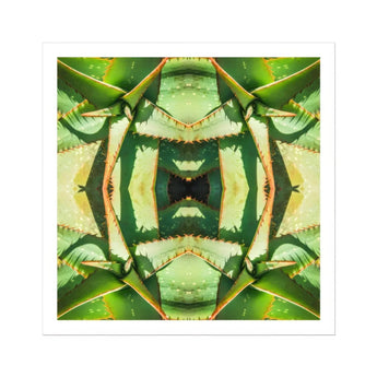 Starry-eyed - Trippy Succulent Op Art Print / Canvas Kaleidoscopic Pattern Created Mirrored Green Succulent Leaves Op Art, Enhanced Matte