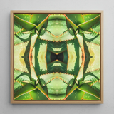 Starry-eyed - Trippy Succulent Op Art Print / Canvas, Succulent Op Art, Enhanced Matte Fine, Trippy Succulent