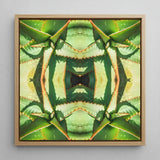 Starry-eyed - Trippy Succulent Op Art Print / Canvas Square-framed Artwork Symmetrical Kaleidoscopic Pattern Green Leaves, Enhanced Matte
