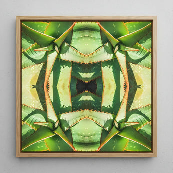 Starry-eyed - Trippy Succulent Op Art Print / Canvas Square-framed Artwork Symmetrical Kaleidoscopic Pattern Green Leaves, Enhanced Matte