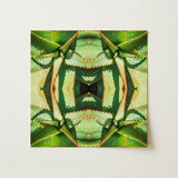 Starry-eyed - Trippy Succulent Op Art Print / Canvas, Succulent Op Art, Enhanced Matte Fine, Trippy Succulent