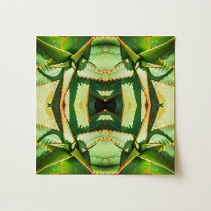 Starry-eyed - Trippy Succulent Op Art Print / Canvas Symmetrical Kaleidoscopic Aloe Vera Leaves Shades Green, Enhanced Matte Fine, Prints