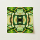 Starry-eyed - Trippy Succulent Op Art Print / Canvas Symmetrical Kaleidoscopic Aloe Vera Leaves Shades Green, Enhanced Matte Fine, Prints