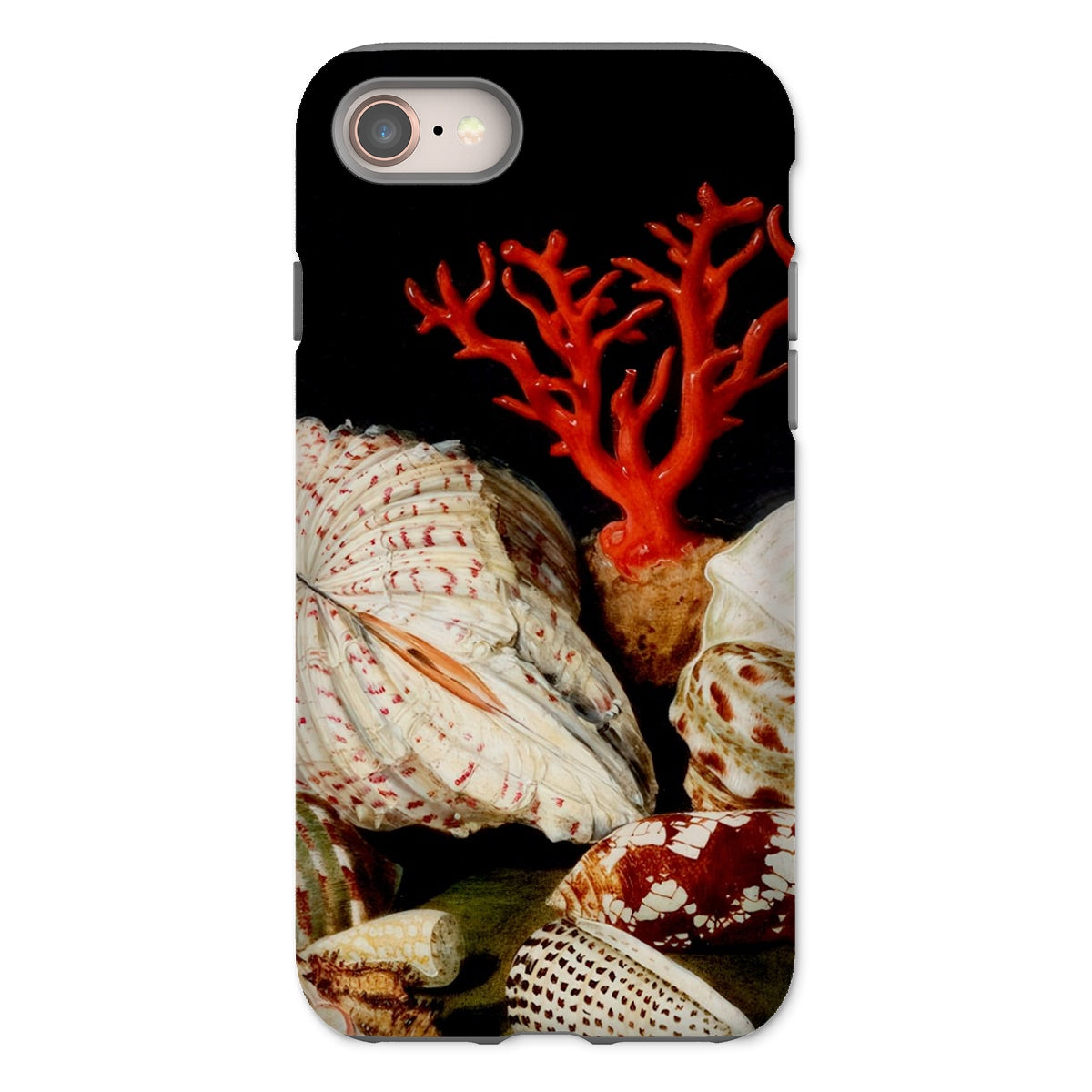 Still Life with Shells & Corals - Jacques Linard Iphone Case, 8 / Matte, Seashell Coral Phone Case
