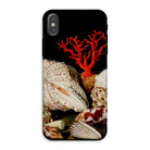 Still Life with Shells & Corals - Jacques Linard Iphone Case, Xs / Matte, Seashell-themed Phone Case