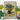 Still Life - Vincent Van Gogh Post-impressionism Art Print, Framed Painting Floral Life Vase Fruits Teacup