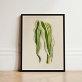 Striped Maize - Benjamin Fawcett Botanical Art Print / Canvas Framed Illustration Green Leaf Cream-colored Paper Fawcett’s, Victorian