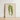 Framed Botanical Illustration Two Striped Green Leaves Beige Benjamin Fawcett’s Maize, Victorian Masterpiece, 19th-century Natural History