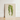 Framed Botanical Illustration Two Striped Green Leaves Beige Benjamin Fawcett’s Maize, Victorian Masterpiece, 19th-century Natural History
