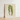 Framed Botanical Illustration Two Striped Green Leaves Beige Benjamin Fawcett’s Maize, Victorian Masterpiece, 19th-century Natural History