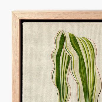 Striped Maize - Benjamin Fawcett Botanical Art Print / Canvas Framed Artwork Stylized Illustration Green Cream Fawcett’s, Victorian
