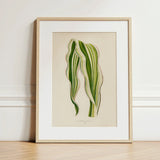 Striped Maize - Benjamin Fawcett Botanical Art Print / Canvas Framed Illustration Green Leaves Light Wood Fawcett’s, Victorian Masterpiece,
