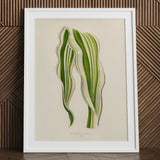 Striped Maize - Benjamin Fawcett Botanical Art Print / Canvas Framed Illustration Zamioculcas Zamiifolia Leaf Rendered Intricate Fawcett’s,