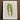 Framed Botanical Illustration Zamioculcas Zamiifolia Leaf Rendered Intricate Benjamin Fawcett’s Striped Maize, Victorian Masterpiece,