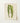 Rectangular Art Print Botanical Illustration Two Striped Green Benjamin Fawcett’s Maize, Victorian Masterpiece, 19th-century Natural History