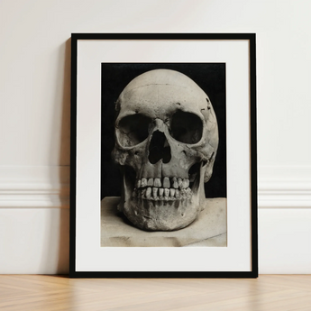 Study of a Human Skull Art Print / Canvas, 12x16’’ / 31x41cm / Black Frame / Matboard, Posters Prints & Visual Artwork, Toby Leon