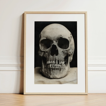 Study of a Human Skull Art Print / Canvas, 12x16’’ / 31x41cm / Natural Frame / Matboard, Posters Prints & Visual Artwork, Toby Leon