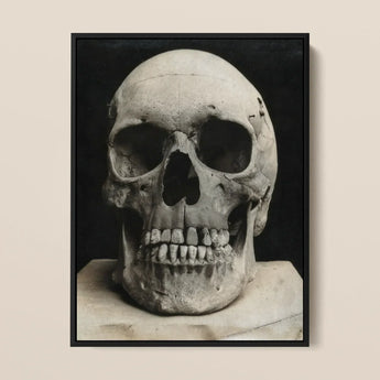 Study of a Human Skull Art Print / Canvas Black-framed Photographic Monochrome Visible Teeth Bone Meets Lens, Prints