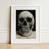 Study of a Human Skull Art Print / Canvas Black-and-white Photographic White Frame Bone Meets Lens, Prints