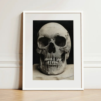 Study of a Human Skull Art Print / Canvas Black-and-white Photographic White Frame Bone Meets Lens, Prints