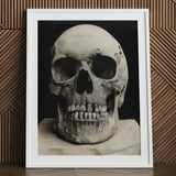 Study of a Human Skull Art Print / Canvas Framed Black White Bone Meets Lens, Prints