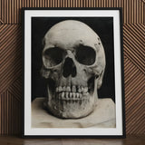 Study of a Human Skull Art Print / Canvas Framed Black White Photograph Bone Meets Lens, Prints