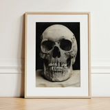 Study of a Human Skull Art Print / Canvas Framed Black White Photograph Textured Weathered Human Skull Bone Meets Lens, Meets, Lens