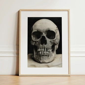 Study of a Human Skull Art Print / Canvas Framed Black White Photograph Textured Weathered Bone Meets Lens, Prints