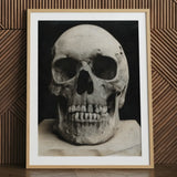 Study of a Human Skull Art Print / Canvas Framed Bone Meets Lens, Prints