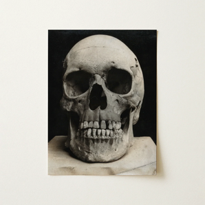 Study of a Human Skull Art Print / Canvas Monochrome Photograph Human Skull Captured High Contrast Deep Bone Meets Lens, Meets, Lens