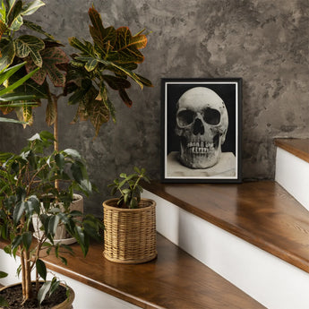 Study of a Human Skull Art Print / Canvas Monochrome Photograph Captured High Contrast Deep Bone Meets Lens, Prints