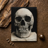 Study of a Human Skull Art Print / Canvas Monochrome Photograph Human Skull Textured Surface Rustic Metallic Bone Meets Lens, Meets, Lens