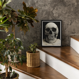 Study of a Human Skull Art Print, Framed Print Skull