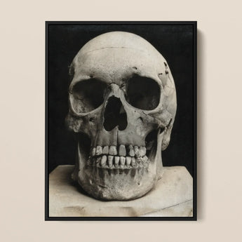 Study of a Human Skull Framed Canvas, 12x16’’ / 31x41cm / Black Floating Frame, Detailed Slightly Damaged Human Skull Sculpture Visible