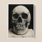 Study of a Human Skull Framed Canvas, 12x16’’ / 31x41cm / White Floating Frame, Framed Print Human Skull