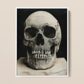 Study of a Human Skull Framed Canvas, 12x16’’ / 31x41cm / White Floating Frame, Framed Print Human Skull