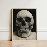 Study of a Human Skull Art Print / Canvas Framed Black-and-white Photograph Textured Weathered Mounted Bone Meets Lens, Prints