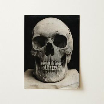 Study of a Human Skull Art Print / Canvas Monochrome Photograph Captured High Contrast Deep Bone Meets Lens, Prints